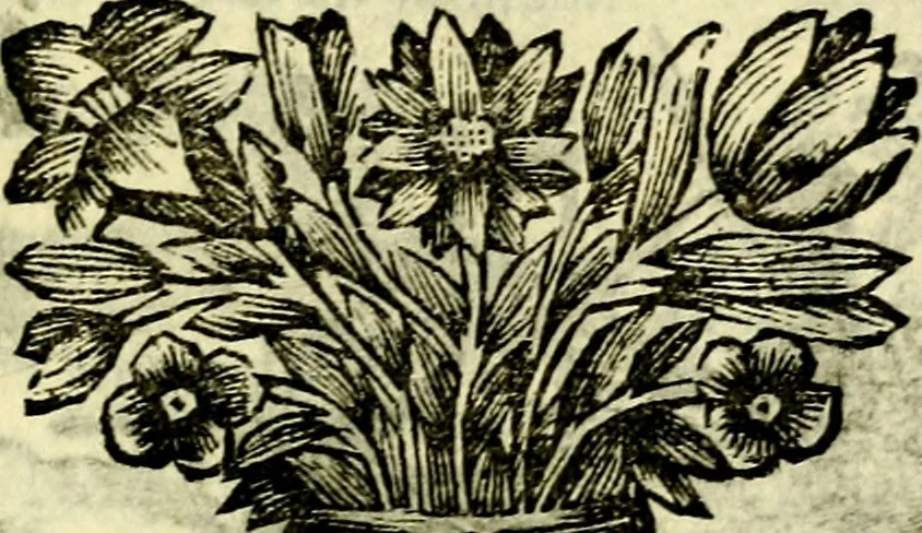An illustration from C. F. Menestrerii ... Philosophia imaginum id est sylloge symbolorum amlissima, .., 1695, leaf 618