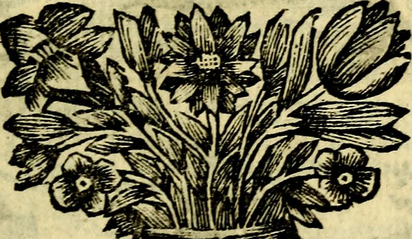 An illustration from C. F. Menestrerii ... Philosophia imaginum id est sylloge symbolorum amlissima, .., 1695, leaf 688