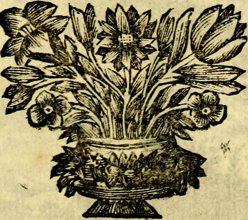 An illustration from C. F. Menestrerii ... Philosophia imaginum id est sylloge symbolorum amlissima, .., 1695, leaf 728