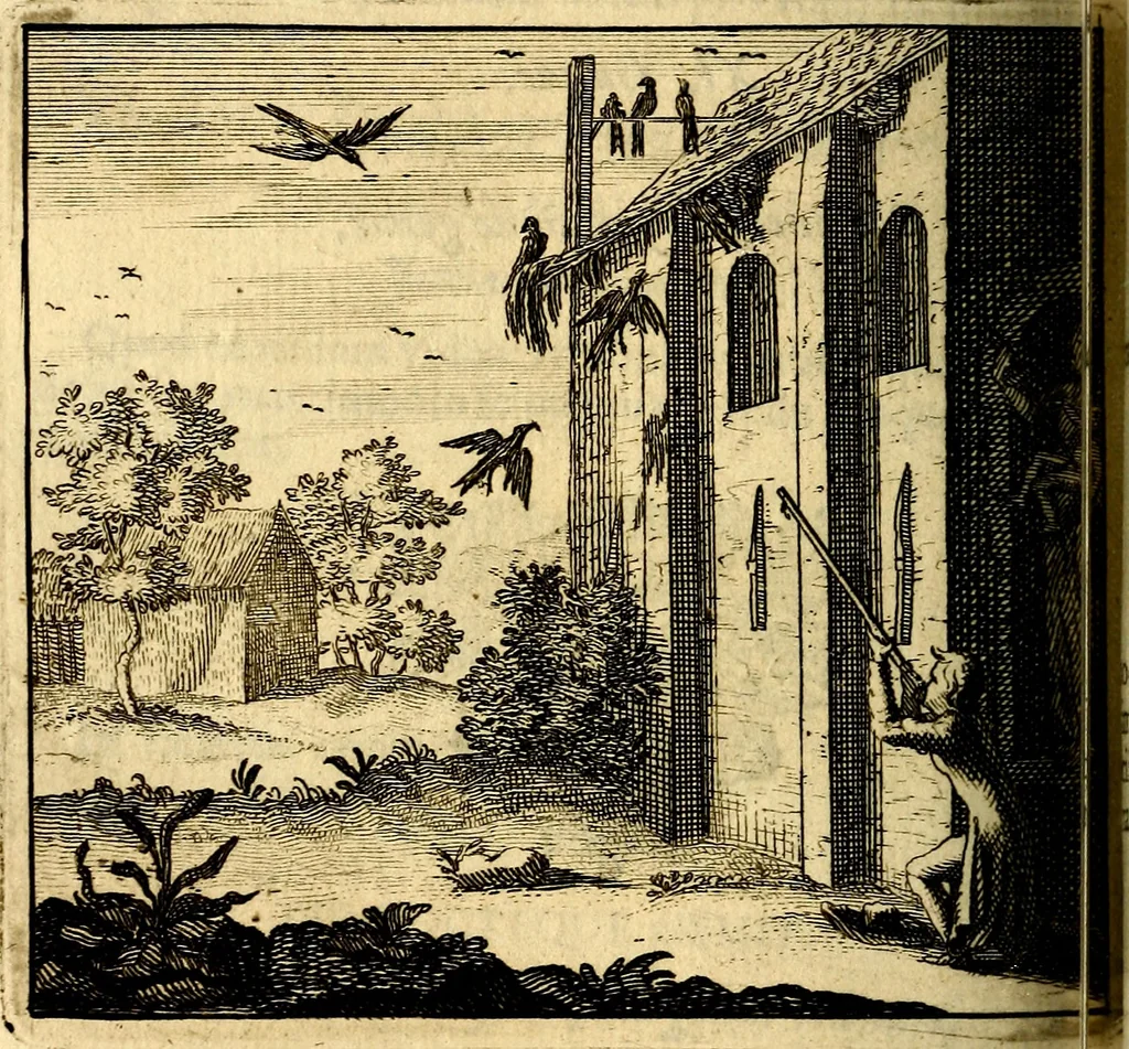 An illustration from C. F. Menestrerii ... Philosophia imaginum id est sylloge symbolorum amlissima, .., 1695, leaf 733