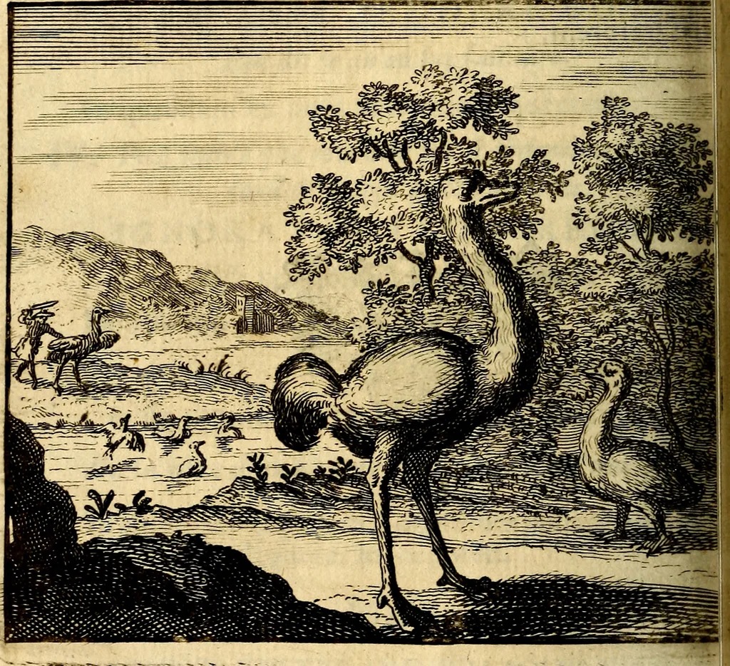 An illustration from C. F. Menestrerii ... Philosophia imaginum id est sylloge symbolorum amlissima, .., 1695, leaf 773