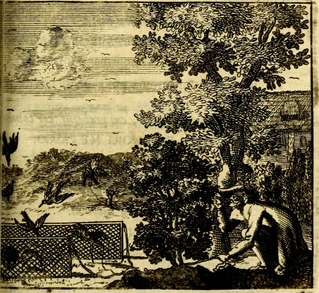 An illustration from C. F. Menestrerii ... Philosophia imaginum id est sylloge symbolorum amlissima, .., 1695, leaf 784