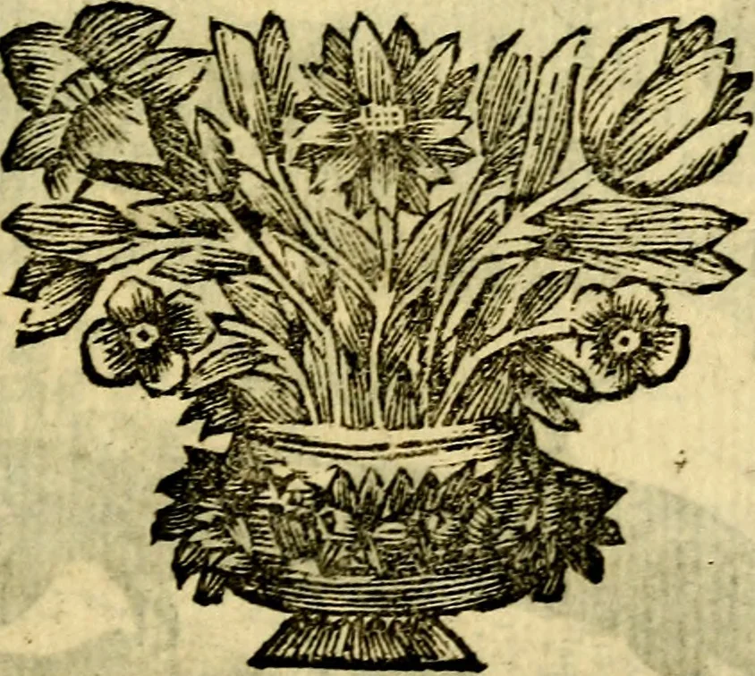 An illustration from C. F. Menestrerii ... Philosophia imaginum id est sylloge symbolorum amlissima, .., 1695, leaf 788