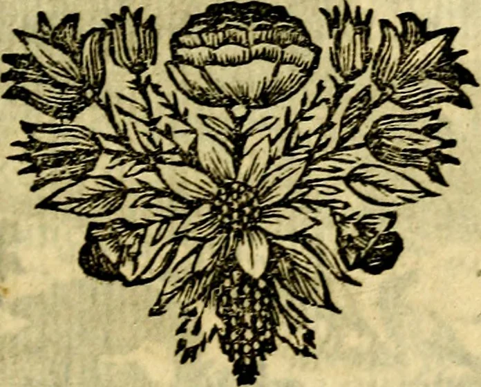 An illustration from C. F. Menestrerii ... Philosophia imaginum id est sylloge symbolorum amlissima, .., 1695, leaf 798