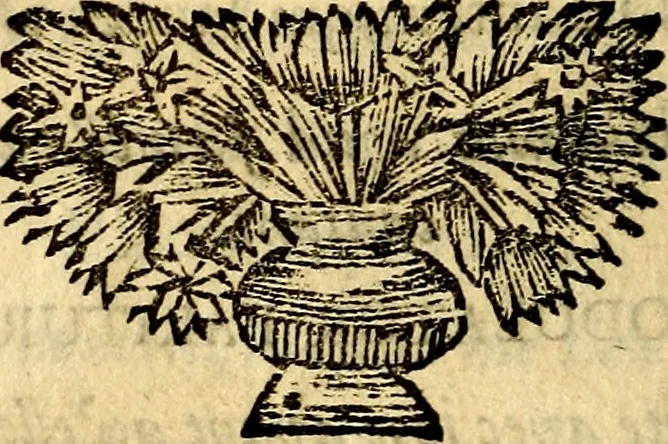 An illustration from C. F. Menestrerii ... Philosophia imaginum id est sylloge symbolorum amlissima, .., 1695, leaf 805