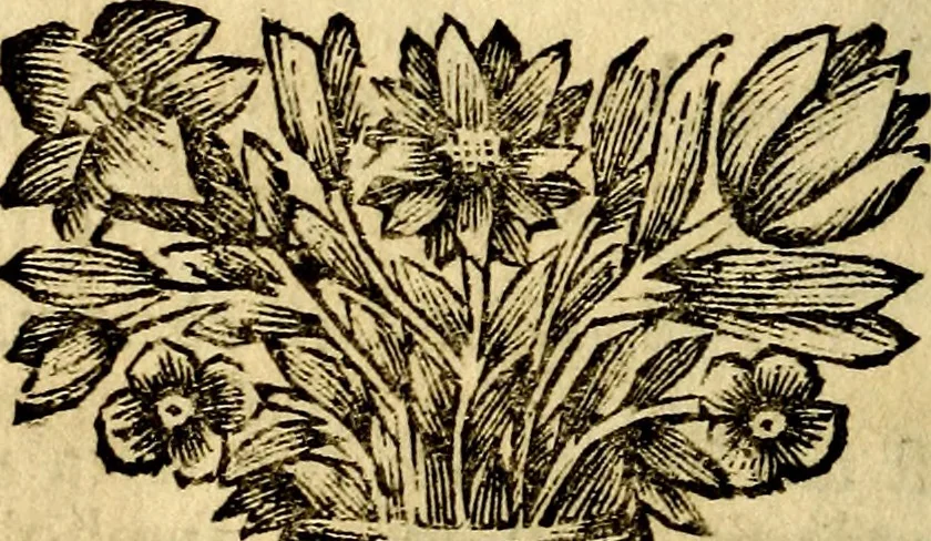 An illustration from C. F. Menestrerii ... Philosophia imaginum id est sylloge symbolorum amlissima, .., 1695, leaf 825