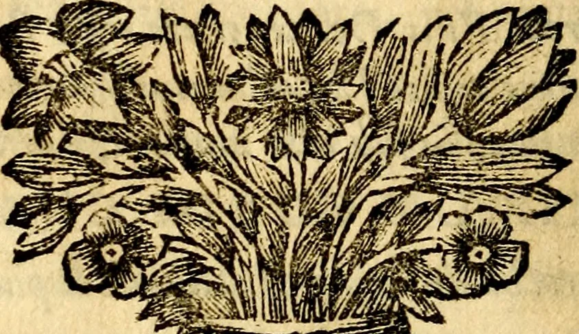 An illustration from C. F. Menestrerii ... Philosophia imaginum id est sylloge symbolorum amlissima, .., 1695, leaf 861
