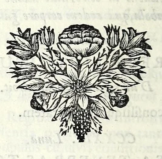 An illustration from C.F. Menestrerii S.J. Philosophia imaginum, id est, Sylloge symbolorum amplissima : qua plurima regum, principum, nobilium, foeminarum illustrium, eruditorum, aliorumque virorum in Europa praestantium, quae prostant, summa diligentia sunt congesta methodoque succincta exhibita : e lingua Gallica in Latinam translata, figurisque elegantioribus ac antea ornata, 1695, leaf 366