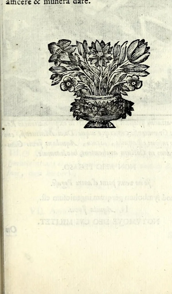 An illustration from C.F. Menestrerii S.J. Philosophia imaginum, id est, Sylloge symbolorum amplissima : qua plurima regum, principum, nobilium, foeminarum illustrium, eruditorum, aliorumque virorum in Europa praestantium, quae prostant, summa diligentia sunt congesta methodoque succincta exhibita : e lingua Gallica in Latinam translata, figurisque elegantioribus ac antea ornata, 1695, leaf 691