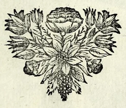An illustration from C.F. Menestrerii S.J. Philosophia imaginum, id est, Sylloge symbolorum amplissima : qua plurima regum, principum, nobilium, foeminarum illustrium, eruditorum, aliorumque virorum in Europa praestantium, quae prostant, summa diligentia sunt congesta methodoque succincta exhibita : e lingua Gallica in Latinam translata, figurisque elegantioribus ac antea ornata, 1695, leaf 761