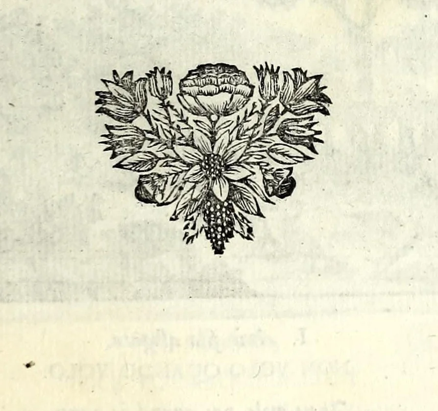 An illustration from C.F. Menestrerii S.J. Philosophia imaginum, id est, Sylloge symbolorum amplissima : qua plurima regum, principum, nobilium, foeminarum illustrium, eruditorum, aliorumque virorum in Europa praestantium, quae prostant, summa diligentia sunt congesta methodoque succincta exhibita : e lingua Gallica in Latinam translata, figurisque elegantioribus ac antea ornata, 1695, leaf 801