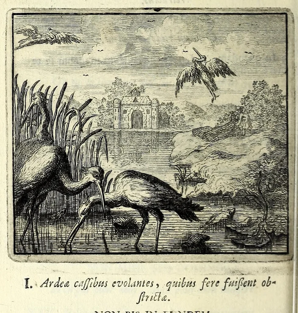 An illustration from C.F. Menestrerii S.J. Philosophia imaginum, id est, Sylloge symbolorum amplissima : qua plurima regum, principum, nobilium, foeminarum illustrium, eruditorum, aliorumque virorum in Europa praestantium, quae prostant, summa diligentia sunt congesta methodoque succincta exhibita : e lingua Gallica in Latinam translata, figurisque elegantioribus ac antea ornata, 1695, leaf 826