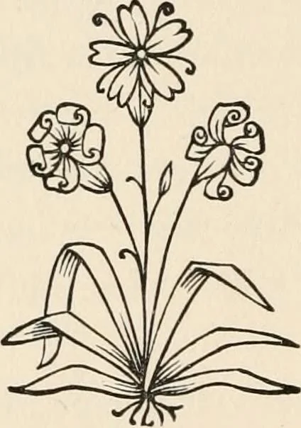 An illustration from The Chaldean account of Genesis : containing the description of the creation, the deluge, the tower of Babel, the destruction of Sodom, the times of the Patriarchs, and Nimrod, Babylonian fables, and legends of the gods : from the cuneiform inscriptions, 1876, leaf 219
