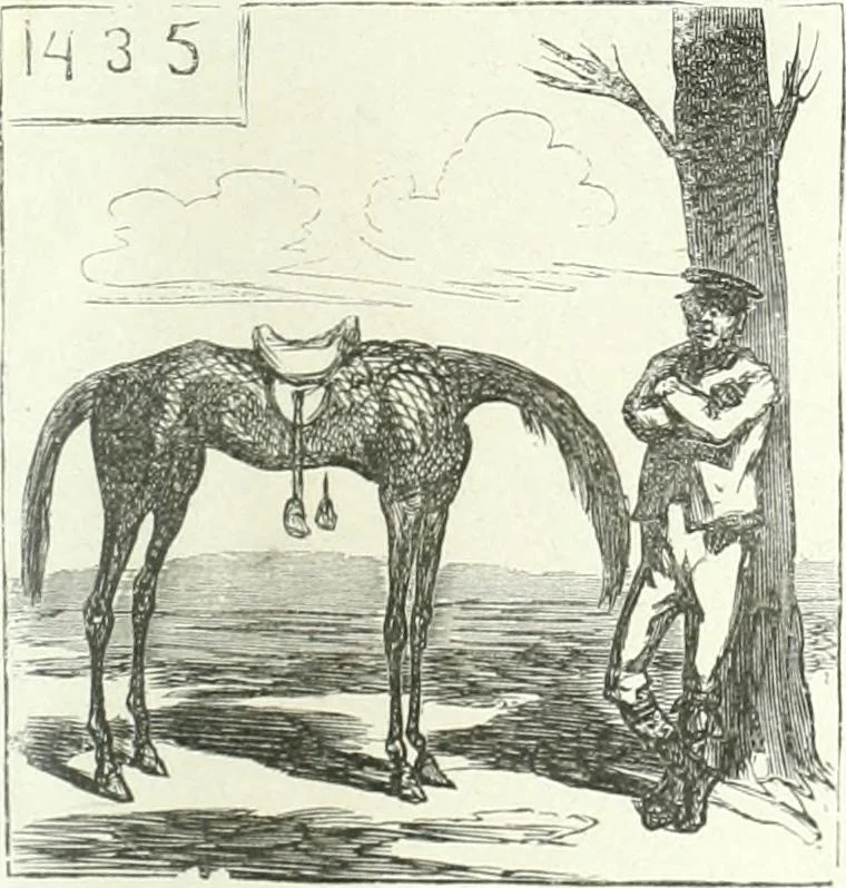 An illustration from Cham, 1853, leaf 102