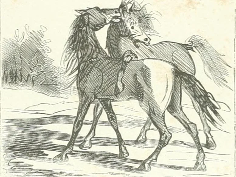 An illustration from Cham, 1853, leaf 126