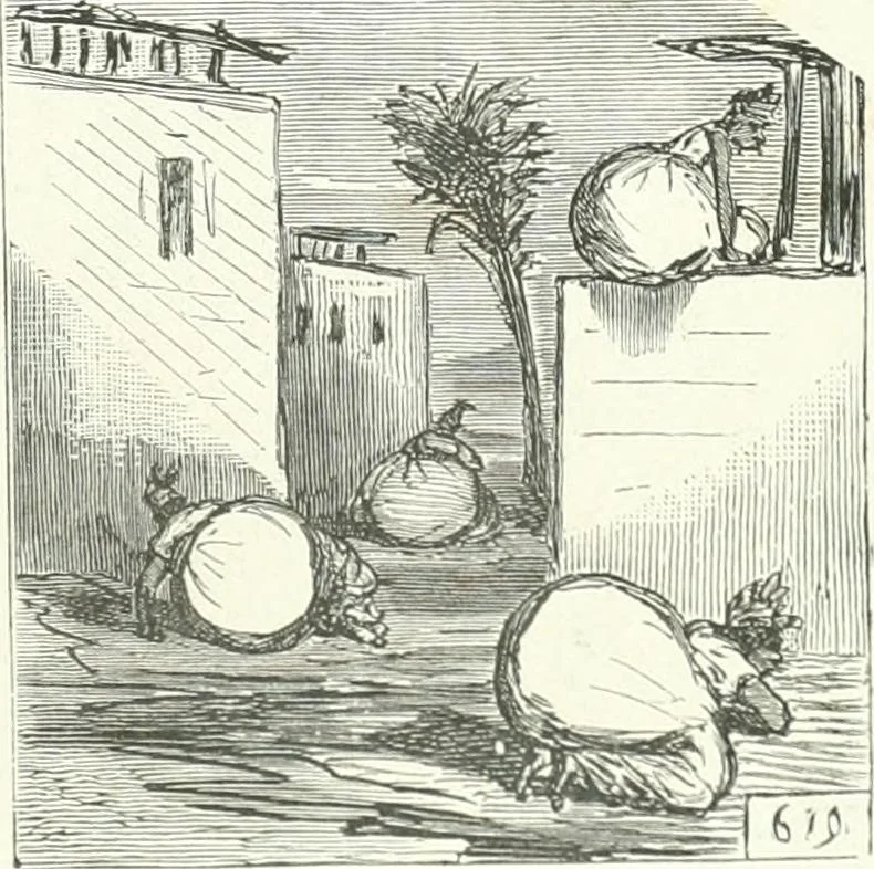 An illustration from Cham, 1853, leaf 148
