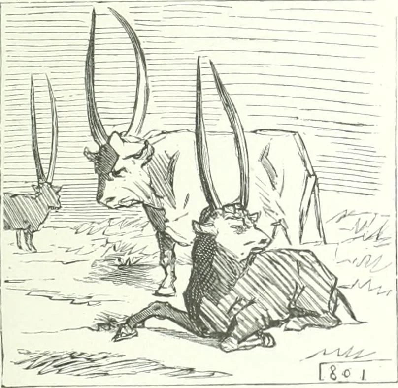 An illustration from Cham, 1853, leaf 200