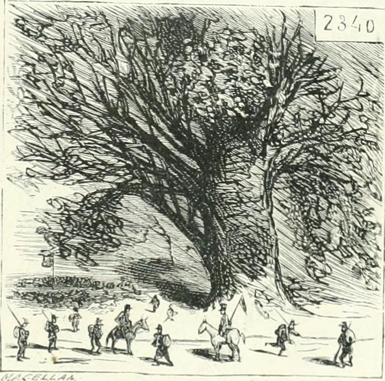 An illustration from Cham, 1853, leaf 206