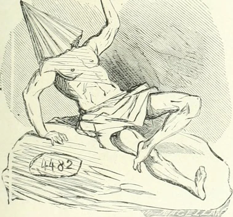 An illustration from Cham, 1853, leaf 224