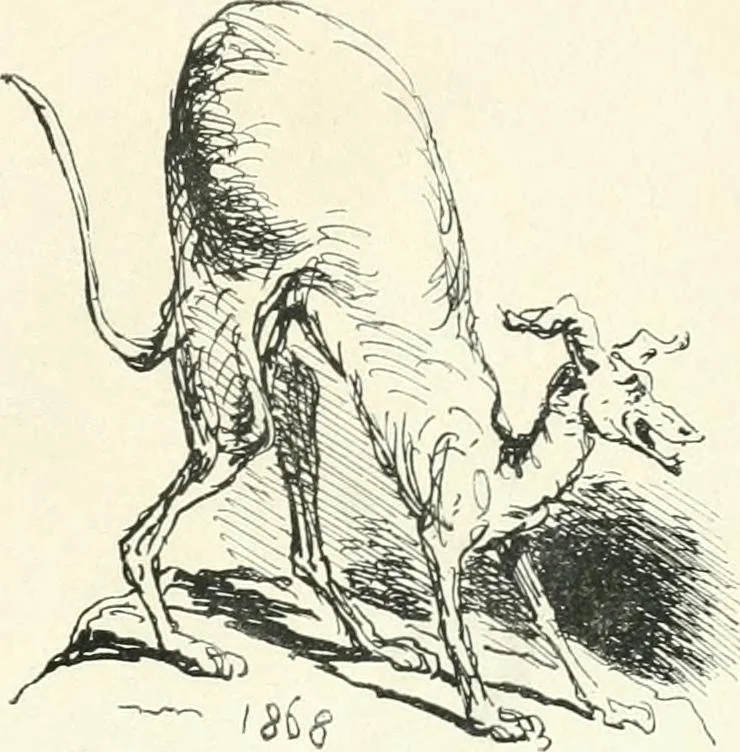 An illustration from Cham, 1853, leaf 244
