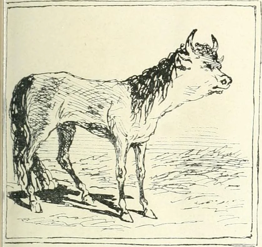 An illustration from Cham, 1853, leaf 254