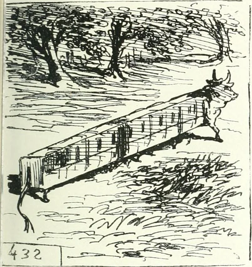 An illustration from Cham, 1853, leaf 270