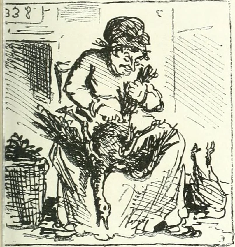 An illustration from Cham, 1853, leaf 294