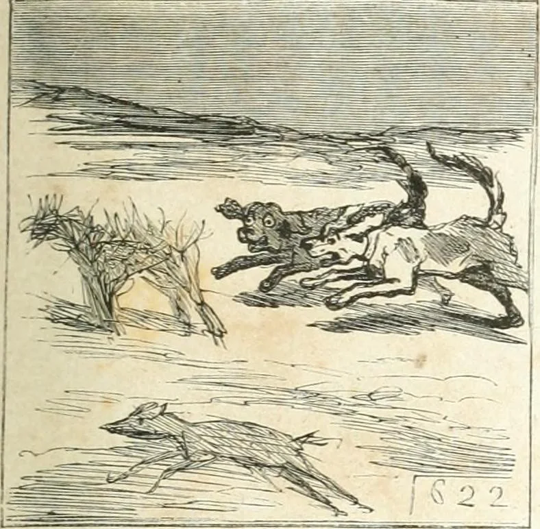 An illustration from Cham, 1853, leaf 30