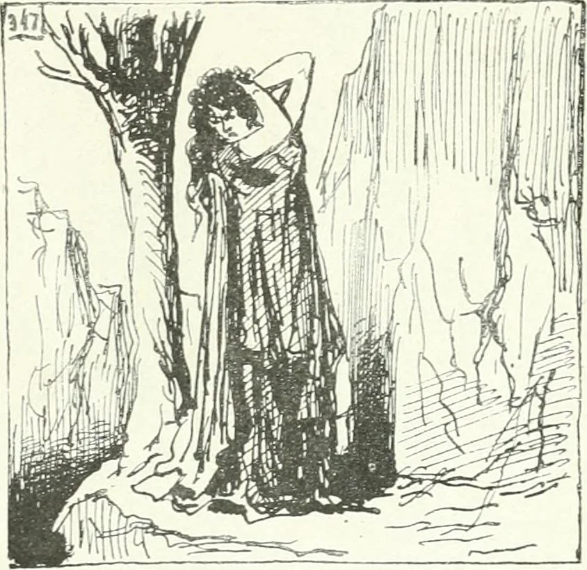 An illustration from Cham, 1853, leaf 300