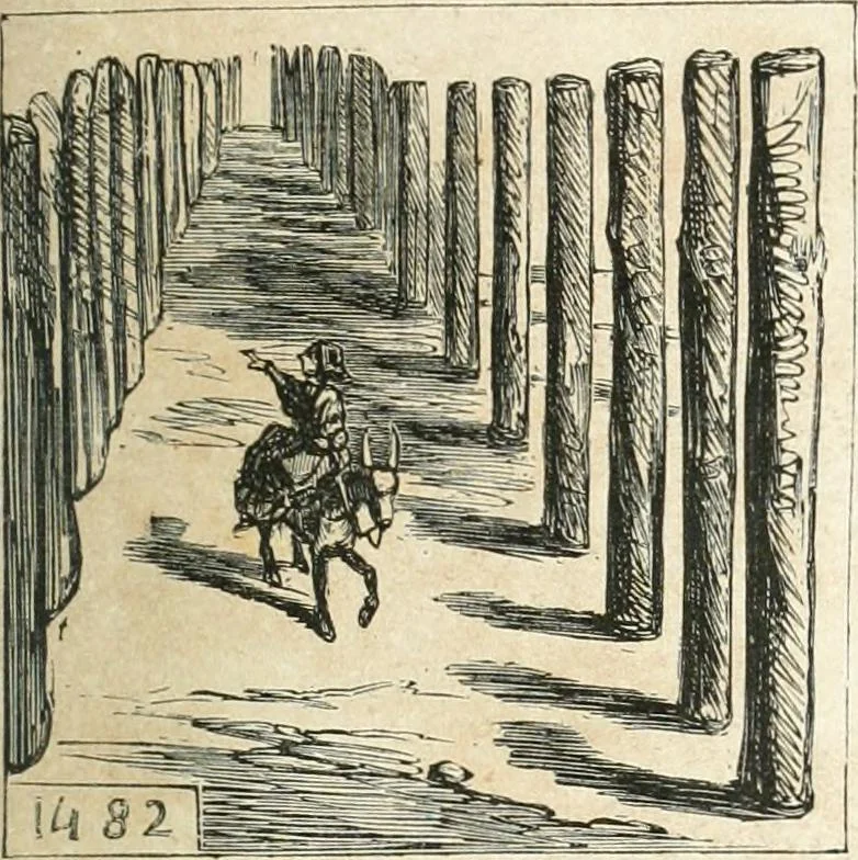 An illustration from Cham, 1853, leaf 36