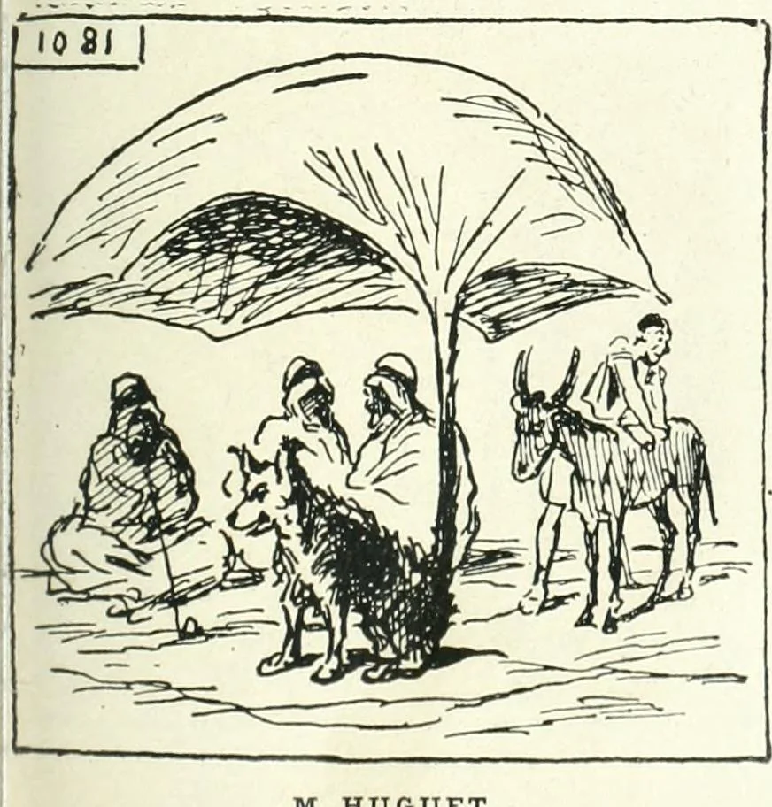 An illustration from Cham, 1853, leaf 364
