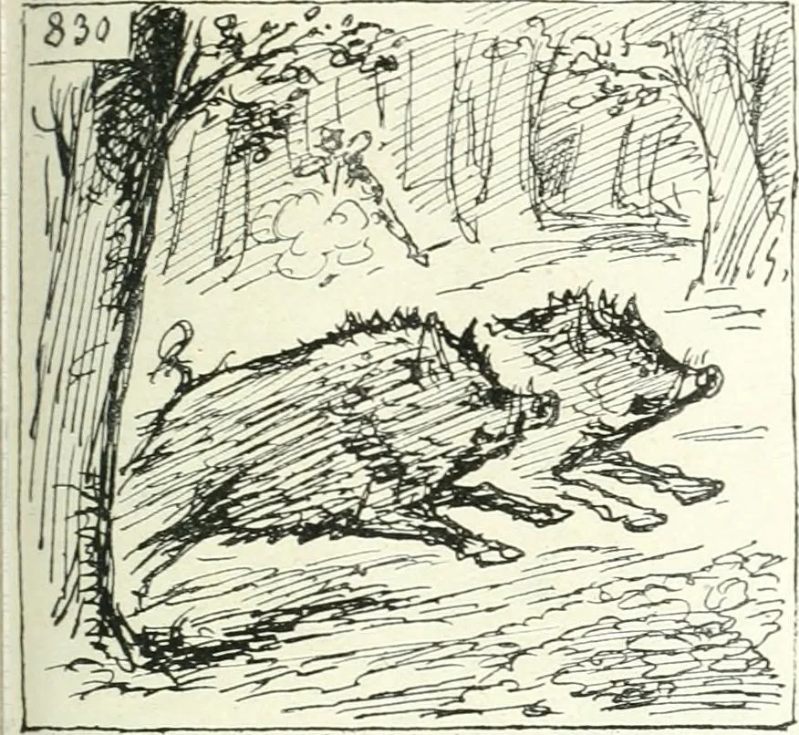An illustration from Cham, 1853, leaf 370
