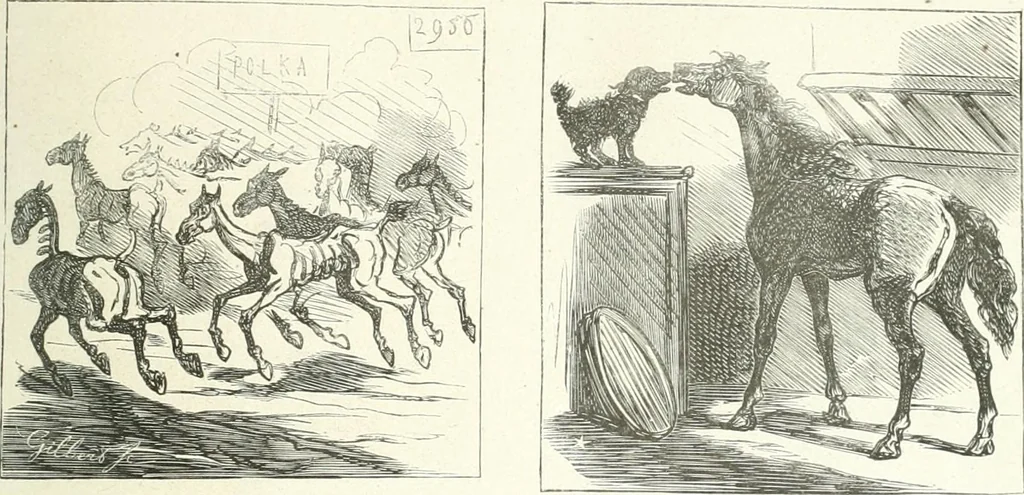 An illustration from Cham, 1853, leaf 64
