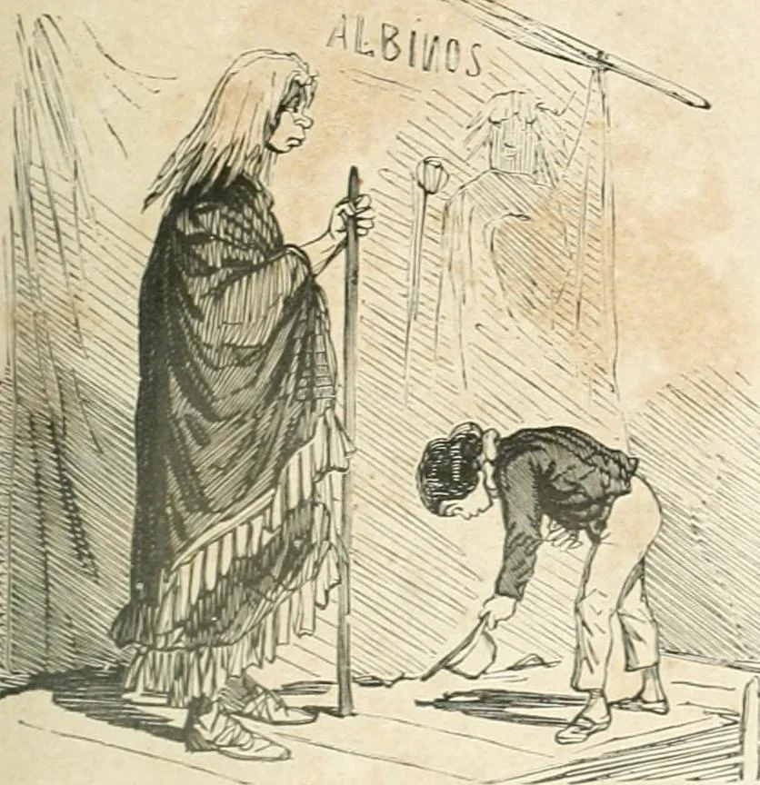 An illustration from Cham, 1853, leaf 12