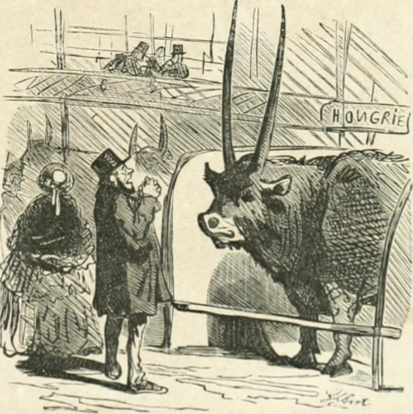 An illustration from Cham, 1853, leaf 254