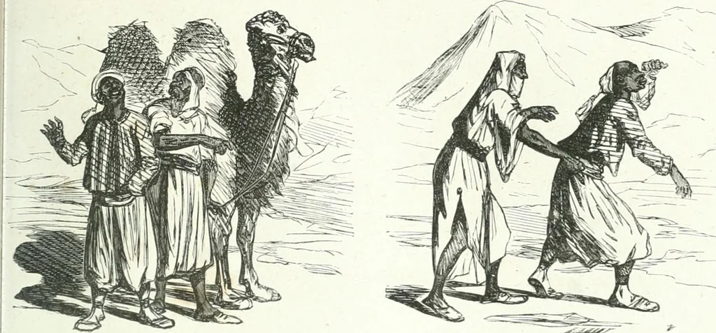 An illustration from Cham, 1853, leaf 294