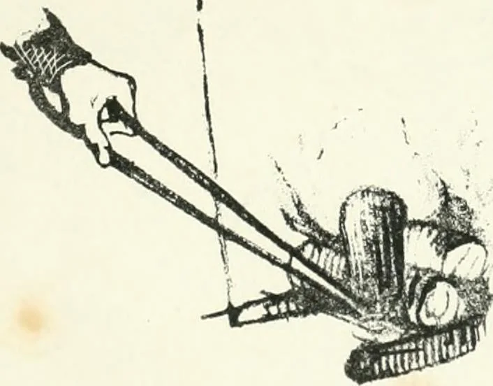 An illustration from Cham, 1853, leaf 330