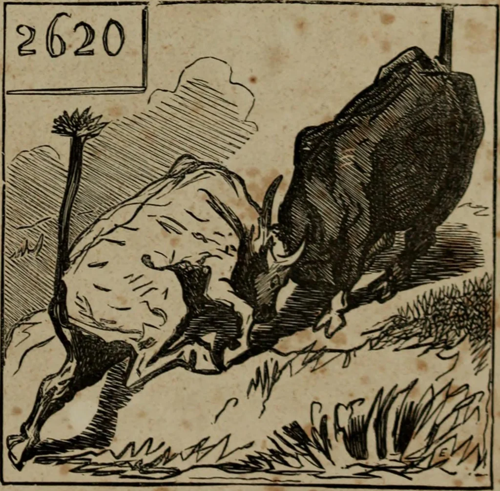 An illustration from Cham, 1853, leaf 196