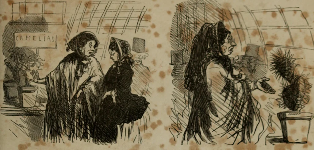An illustration from Cham, 1853, leaf 208