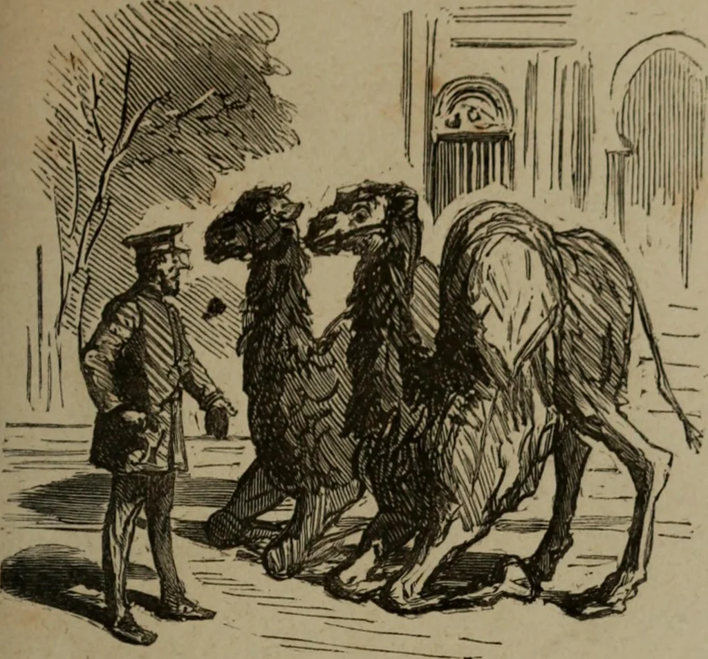 An illustration from Cham, 1853, leaf 234