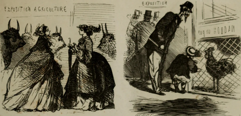 An illustration from Cham, 1853, leaf 326