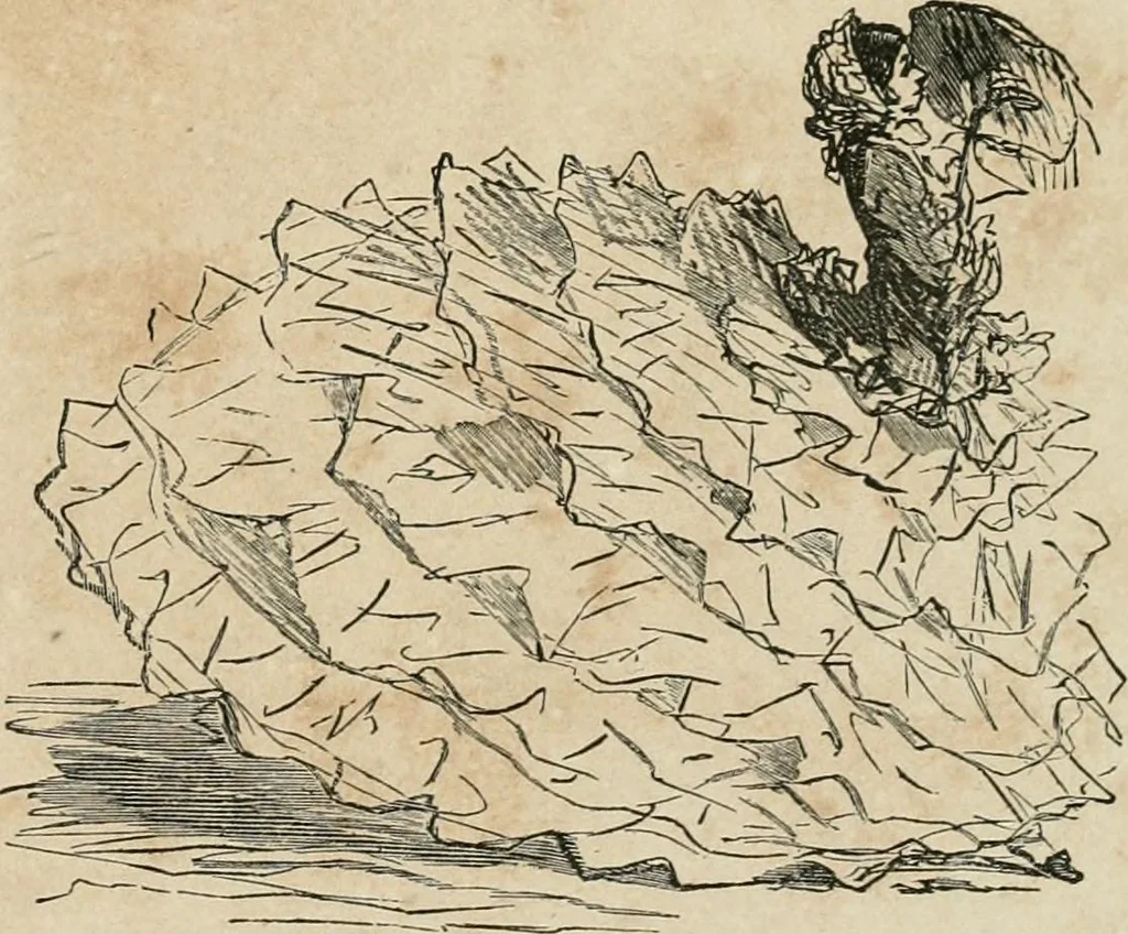 An illustration from Cham, 1853, leaf 128
