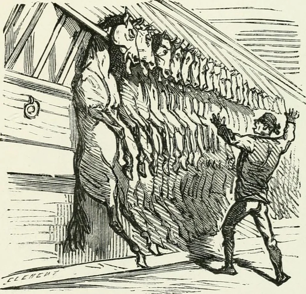 An illustration from Cham, 1853, leaf 230