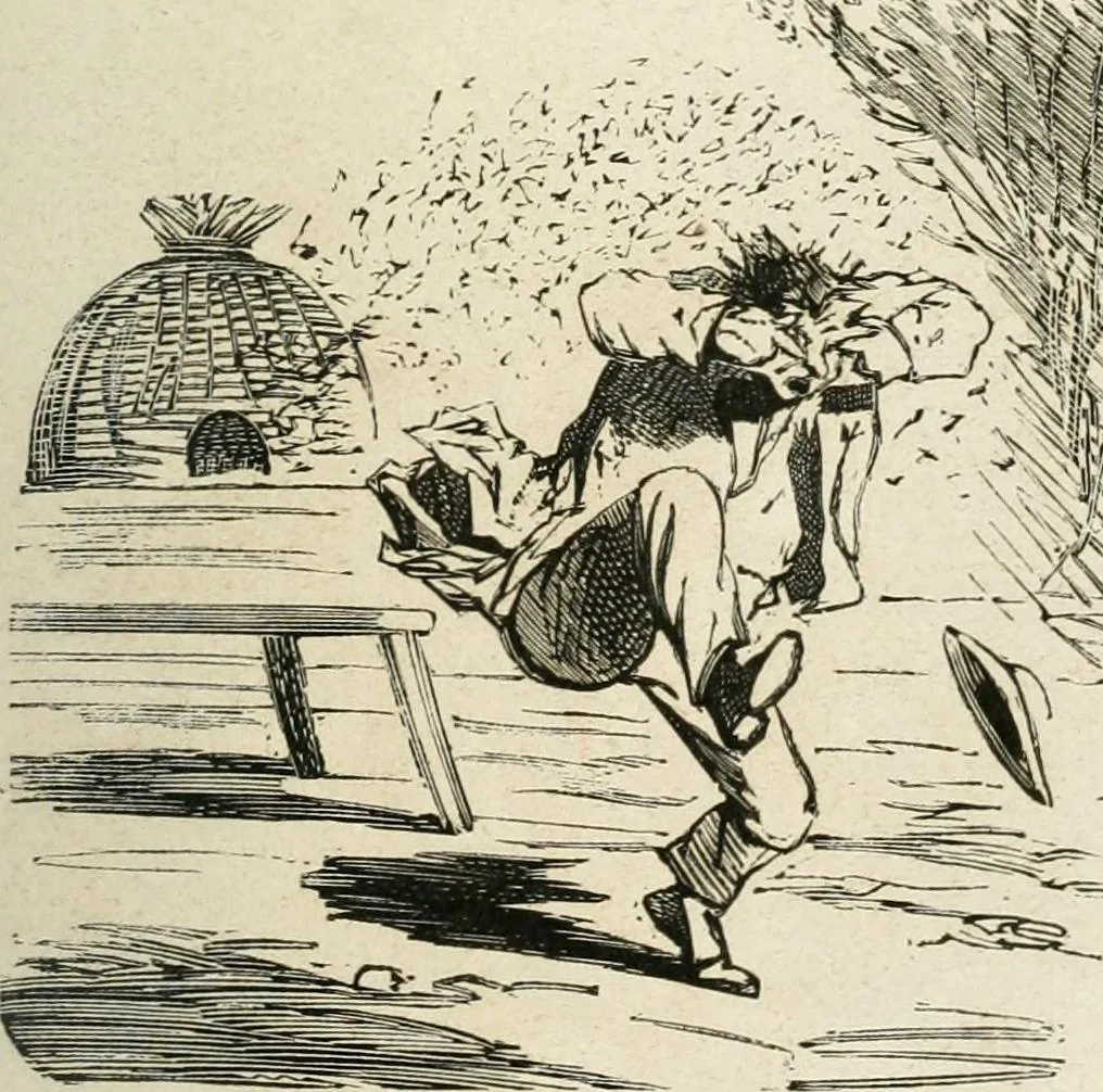 An illustration from Cham, 1853, leaf 352