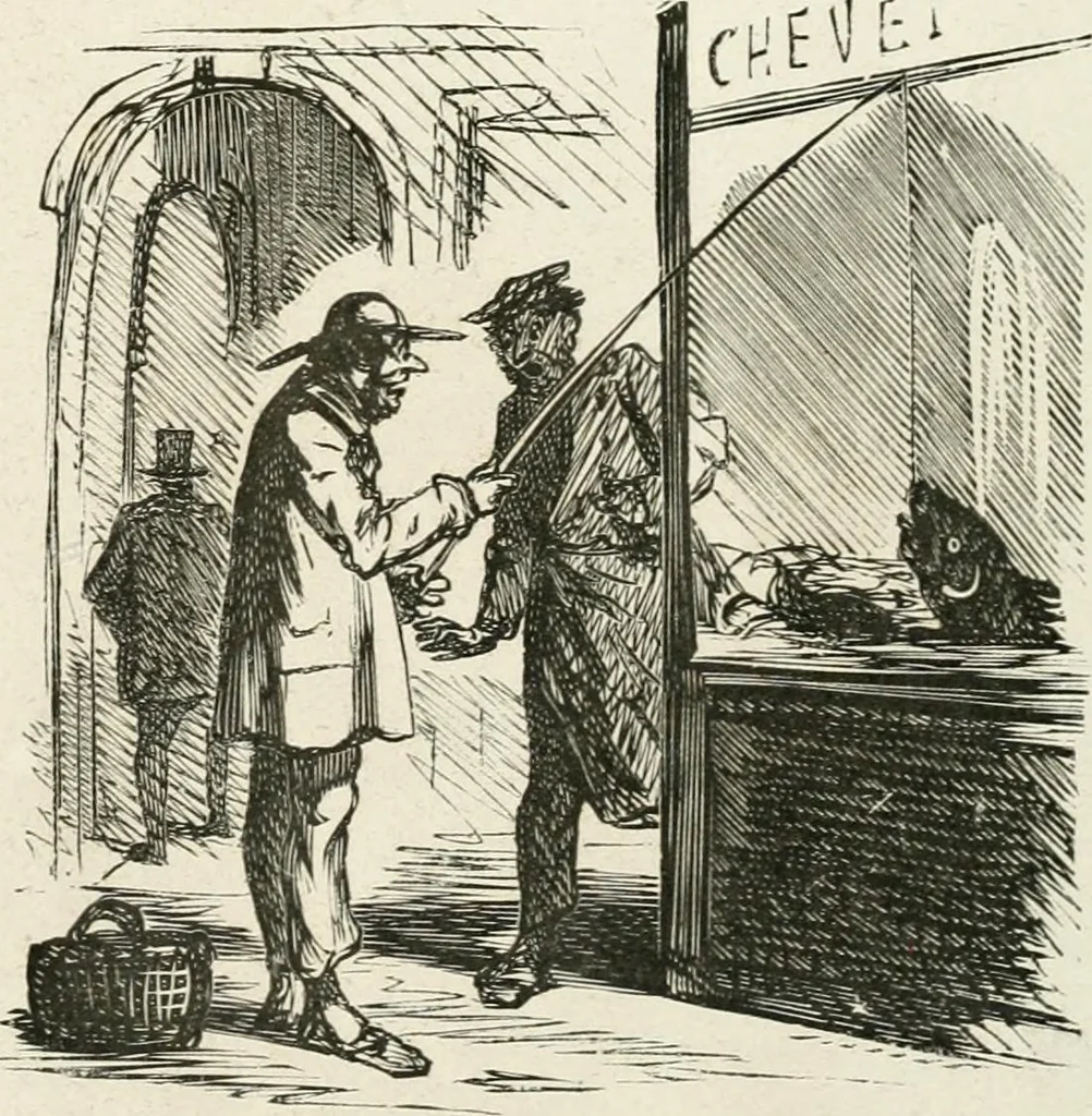 An illustration from Cham, 1853, leaf 374