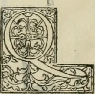 An illustration from Champ fleury : au quel est contenu lart & science de la deue & vraye proportio[n] des lettres attiques, quo[n] dit autreme[n]t lettres antiques, & vulgairement lettres romaines proportionnes selon le corps & visage humain ..., 1529, leaf 175