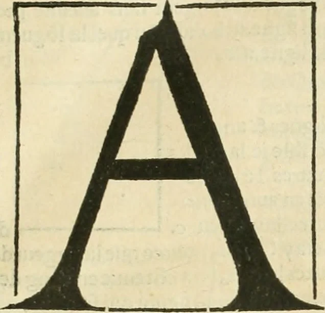 An illustration from Champ fleury : au quel est contenu lart & science de la deue & vraye proportio[n] des lettres attiques, quo[n] dit autreme[n]t lettres antiques, & vulgairement lettres romaines proportionnes selon le corps & visage humain ..., 1529, leaf 40