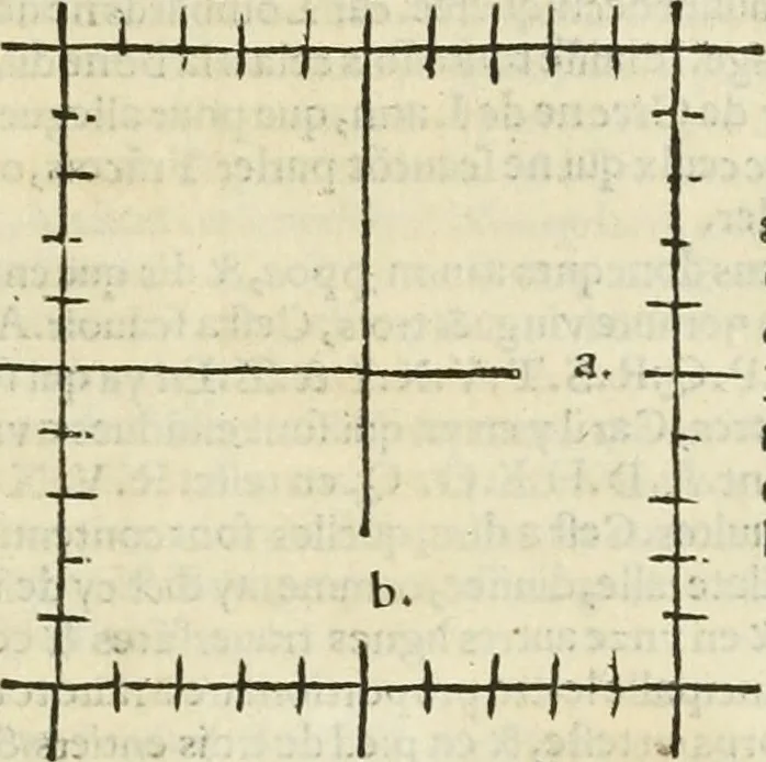 An illustration from Champ fleury : au quel est contenu lart & science de la deue & vraye proportio[n] des lettres attiques, quo[n] dit autreme[n]t lettres antiques, & vulgairement lettres romaines proportionnes selon le corps & visage humain ..., 1529, leaf 42