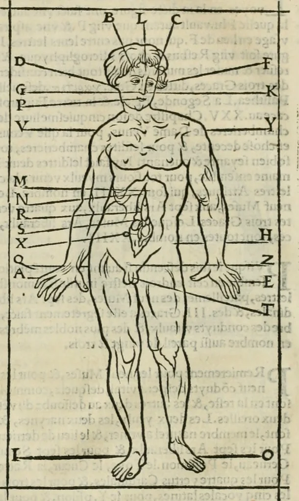 An illustration from Champ fleury : au quel est contenu lart & science de la deue & vraye proportio[n] des lettres attiques, quo[n] dit autreme[n]t lettres antiques, & vulgairement lettres romaines proportionnes selon le corps & visage humain ..., 1529, leaf 63