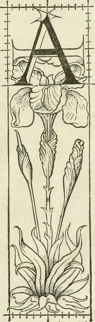 An illustration from Champ fleury : au quel est contenu lart & science de la deue & vraye proportio[n] des lettres attiques, quo[n] dit autreme[n]t lettres antiques, & vulgairement lettres romaines proportionnes selon le corps & visage humain ..., 1529, leaf 78